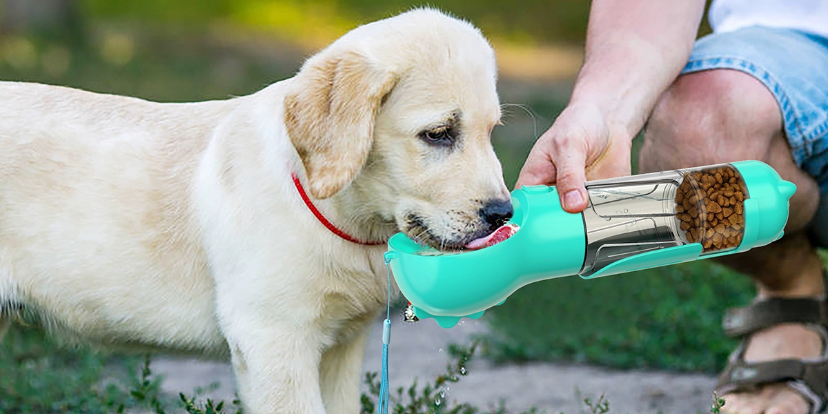 ▷ Drinkflessen Voor Honden Test - Vergelijking & Koopgids - Augustus 2022